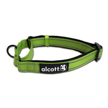 Alcott reflexní obojek pro psy, Martingale, zelený, velikost M