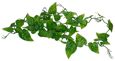 Lucky Reptile Jungle Vine Ivy Vine cca 200 cm