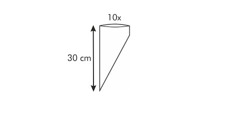 Tescoma zdobicí sáček DELÍCIA 30 cm, 10 ks