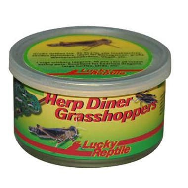 Lucky Reptile Herp Diner - sarančata 35 g cca 50 středních