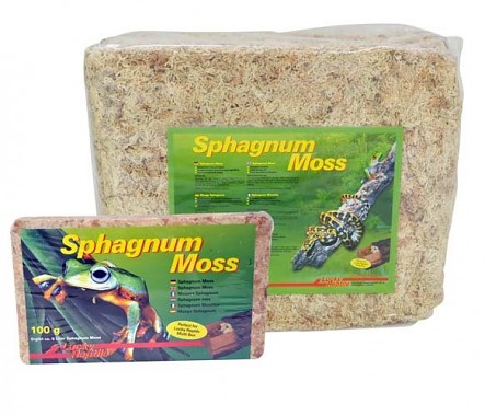 Lucky Reptile Sphagnum Moss - rašeliník 100g